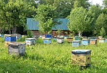 ЧУДО НА МЕДОВЫЙ СПАС