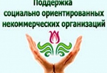 Социально ориентированные НКО могут претендовать на получение субсидии из бюджета РК